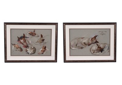 Lot 1542 - Sam Morse-Brown ARWA, PS - Spanish Dog Leo - in various sleeping positions | pastel