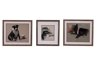 Lot 1543 - Sam Morse-Brown ARWA, PS - Three portraits of "Buzzy" | pastel