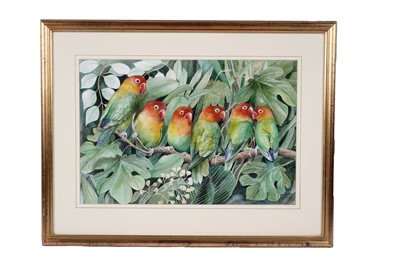 Lot 1683 - Daphne Harrison - A Flock of Lovebirds | watercolour