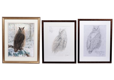 Lot 281 - James Alder - Eagle Owl, Kielder, Northumberland | watercolour and pencil studies
