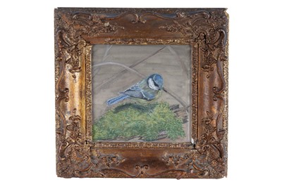 Lot 179 - 20th Century British School - Study of a blue tit in its nest | watercolour