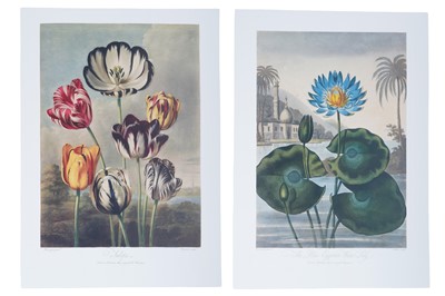 Lot 49 - Folio Society: Thornton's Temple Of Flora, 345/600