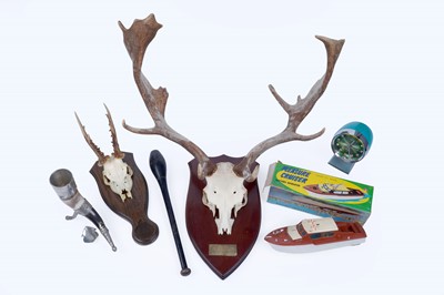 Lot 286 - Antlers; and other items