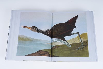 Lot 44 - Audubon’s Birds of America