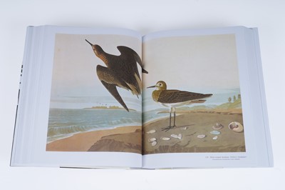 Lot 44 - Audubon’s Birds of America