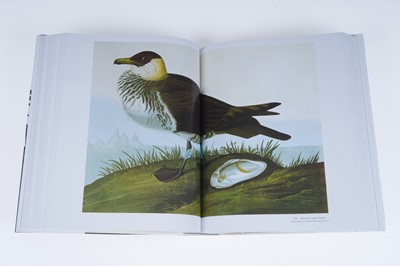 Lot 44 - Audubon’s Birds of America
