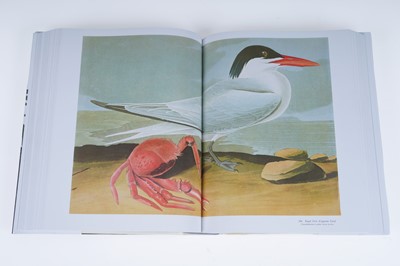 Lot 44 - Audubon’s Birds of America