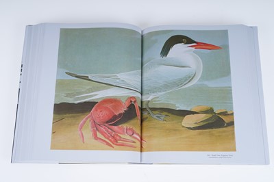 Lot 44 - Audubon’s Birds of America