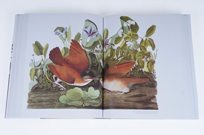 Lot 44 - Audubon’s Birds of America