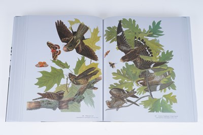 Lot 44 - Audubon’s Birds of America