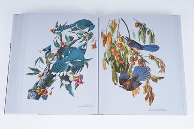 Lot 44 - Audubon’s Birds of America