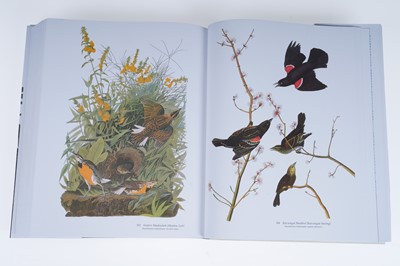 Lot 44 - Audubon’s Birds of America