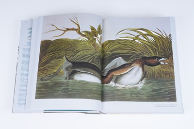 Lot 44 - Audubon’s Birds of America