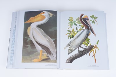 Lot 44 - Audubon’s Birds of America