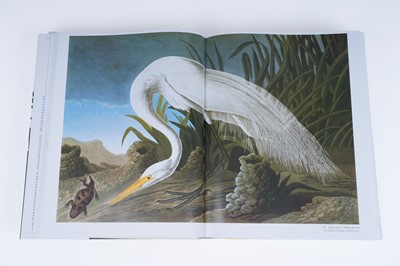 Lot 44 - Audubon’s Birds of America