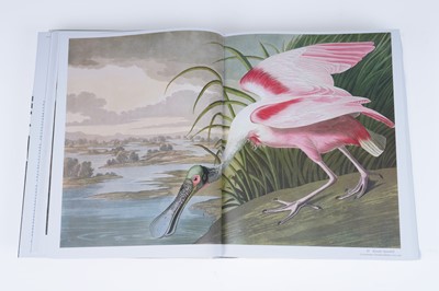 Lot 44 - Audubon’s Birds of America