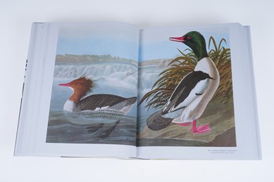Lot 44 - Audubon’s Birds of America