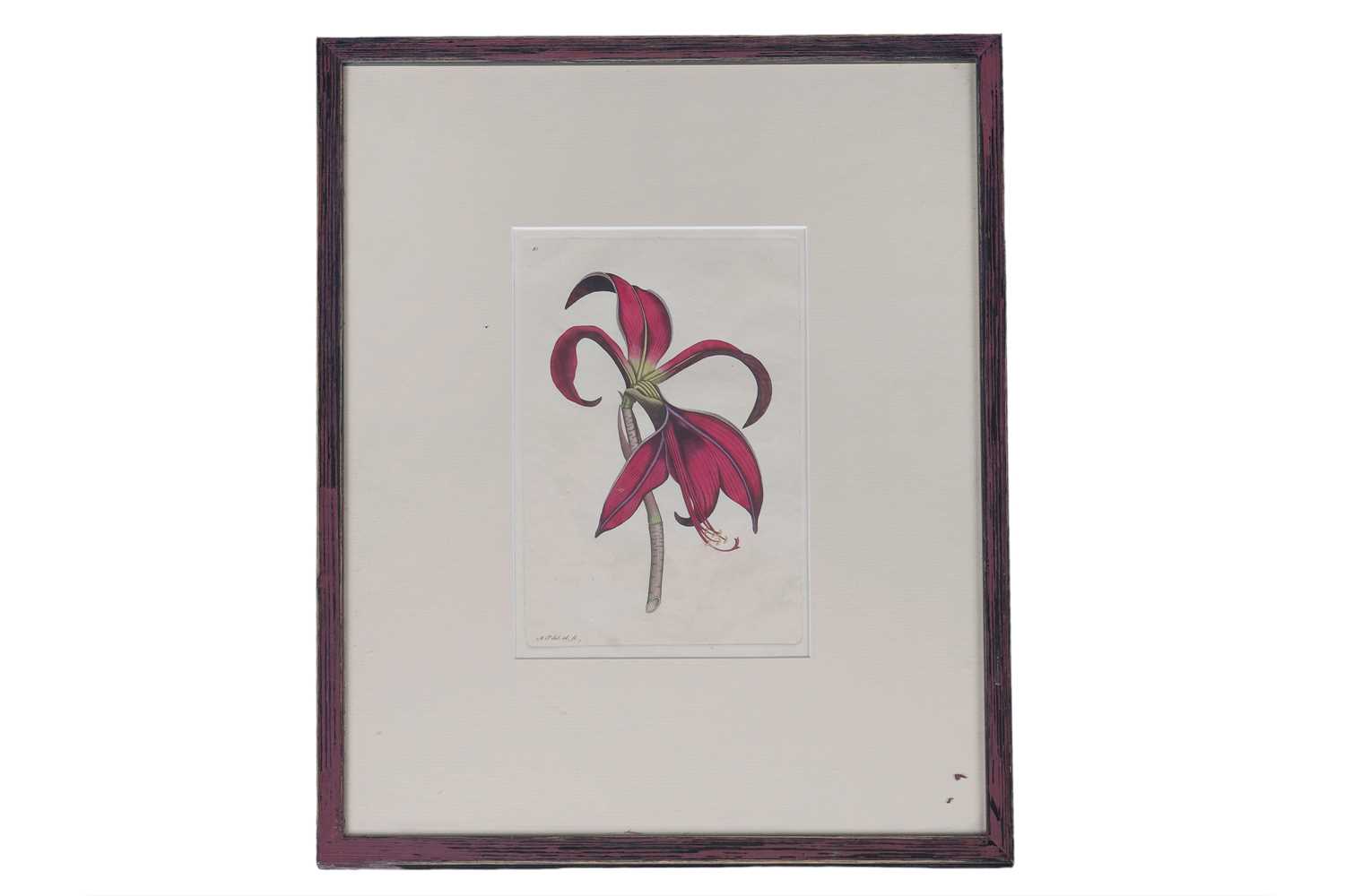 Lot 271 - Twenty-nine hand coloured bookplates, framed and loose