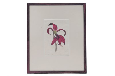 Lot 271 - Twenty-nine hand coloured bookplates, framed and loose