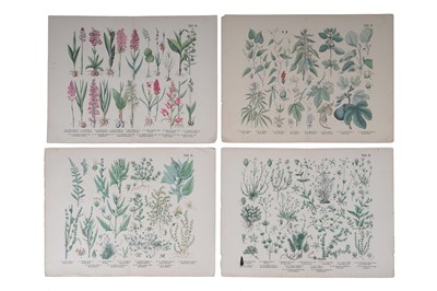 Lot 271 - Twenty-nine hand coloured bookplates, framed and loose