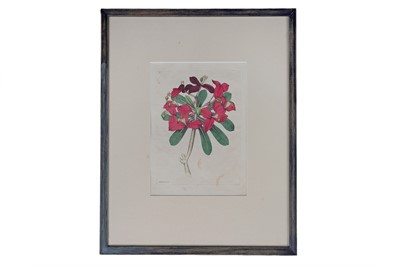 Lot 271 - Twenty-nine hand coloured bookplates, framed and loose