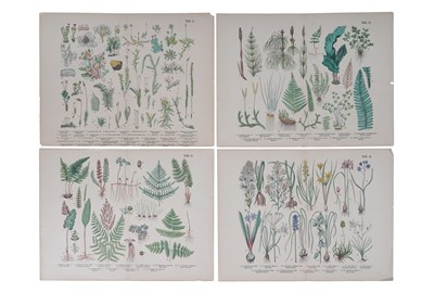 Lot 271 - Twenty-nine hand coloured bookplates, framed and loose