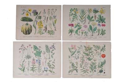 Lot 271 - Twenty-nine hand coloured bookplates, framed and loose