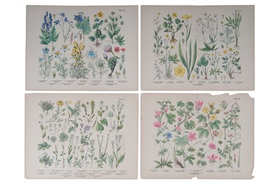 Lot 271 - Twenty-nine hand coloured bookplates, framed and loose