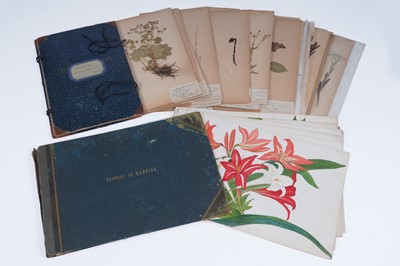 Lot 111 - Two Victorian albums of flower specimens and watercolour studies