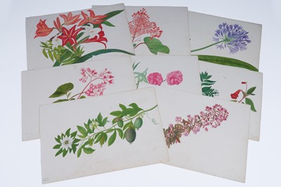 Lot 111 - Two Victorian albums of flower specimens and watercolour studies