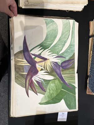 Lot 111 - Two Victorian albums of flower specimens and watercolour studies