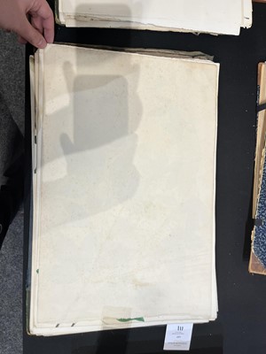 Lot 111 - Two Victorian albums of flower specimens and watercolour studies