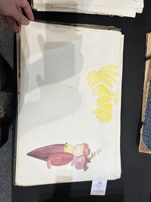 Lot 111 - Two Victorian albums of flower specimens and watercolour studies