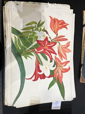 Lot 111 - Two Victorian albums of flower specimens and watercolour studies