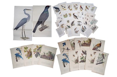Lot 400 - A large collection of loose ornithological prints and etchings