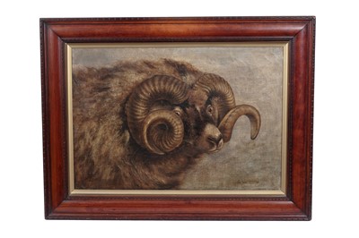 Lot 257 - Henry Bewick Emmerson - The Ram | oil