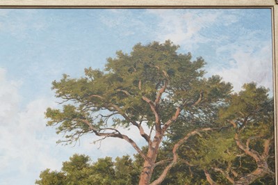 Lot 249 - Benjamin Williams Leader - Surrey Pine Trees | oil