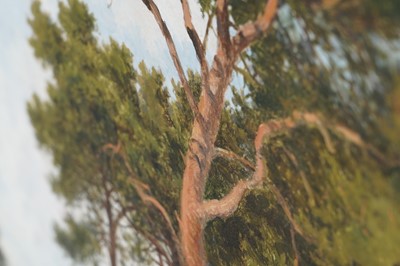 Lot 249 - Benjamin Williams Leader - Surrey Pine Trees | oil