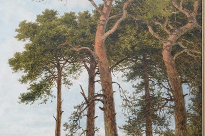 Lot 249 - Benjamin Williams Leader - Surrey Pine Trees | oil
