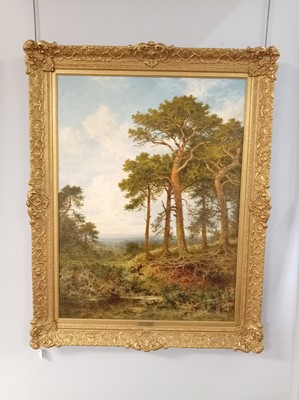 Lot 249 - Benjamin Williams Leader - Surrey Pine Trees | oil