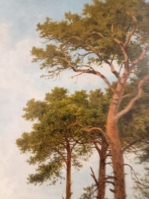 Lot 249 - Benjamin Williams Leader - Surrey Pine Trees | oil