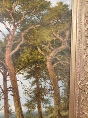 Lot 249 - Benjamin Williams Leader - Surrey Pine Trees | oil