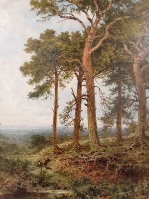 Lot 249 - Benjamin Williams Leader - Surrey Pine Trees | oil