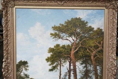 Lot 249 - Benjamin Williams Leader - Surrey Pine Trees | oil