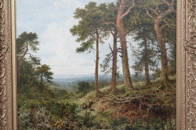 Lot 249 - Benjamin Williams Leader - Surrey Pine Trees | oil