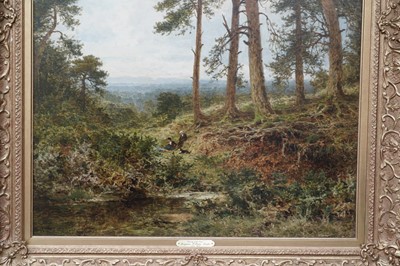Lot 249 - Benjamin Williams Leader - Surrey Pine Trees | oil