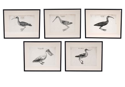 Lot 721 - Five ornithological engravings from Luigi Ferdinando Marsigli's Description du Danube