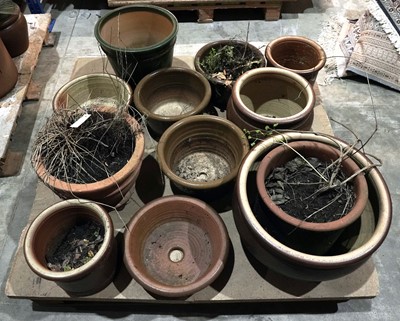 Lot 435 - Garden pots