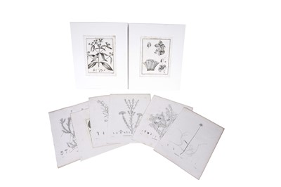 Lot 760 - Sixteen botanical engravings