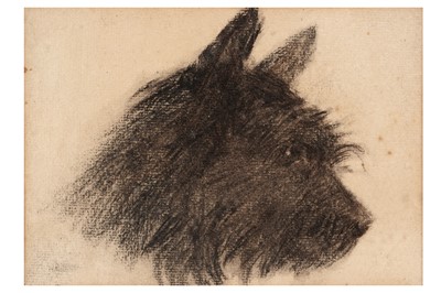 Lot 63 - George Sherwood Hunter - Portrait of Boo Boo the terrier | charcoal